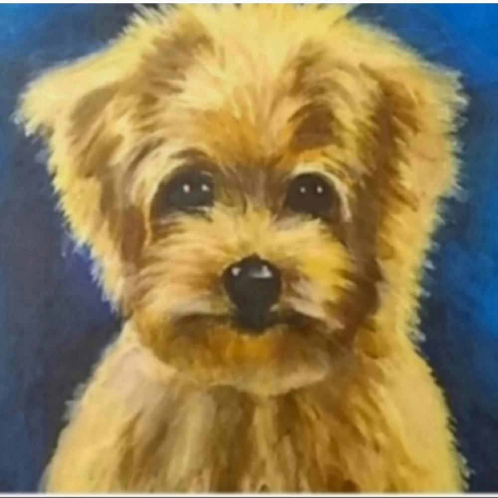 Dog Maltese painting kids room pet acrylic on canvas original artist